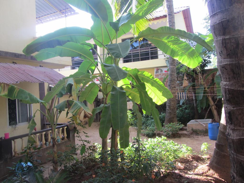 Palolem Guest House Dış mekan fotoğraf